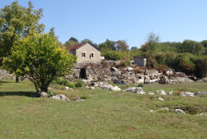 Vision Nekretnine